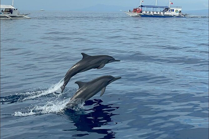 4D3N Standard Bohol Countryside, Island Hopping and Panglao Land Tour for 7 persons