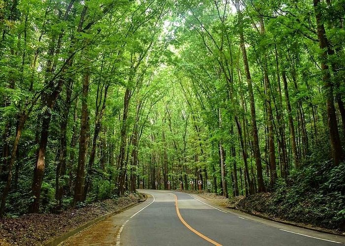 3D2N Budget Bohol Countryside and Island Hopping Tour for 2 persons