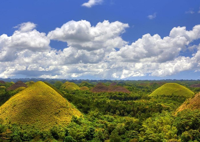 4D3N Standard Bohol Countryside Tour for 10 persons