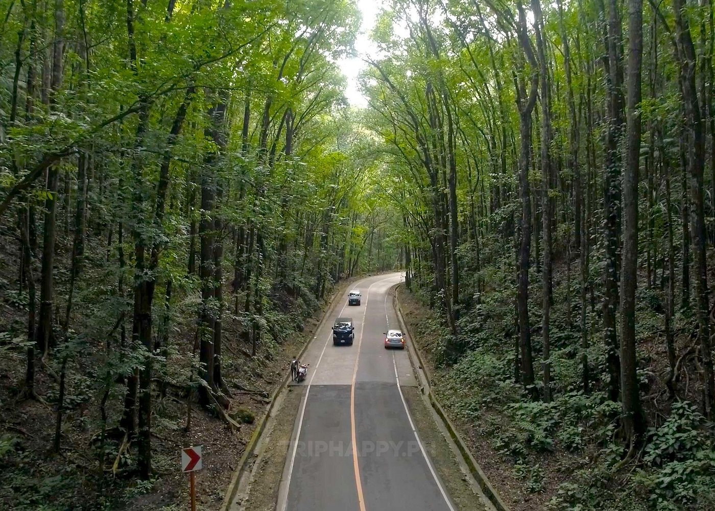 4D3N Standard Bohol Countryside Tour for 4 persons