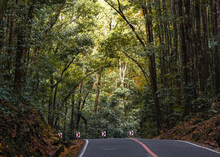 4D3N Premium Bohol Countryside Tour for 9 persons