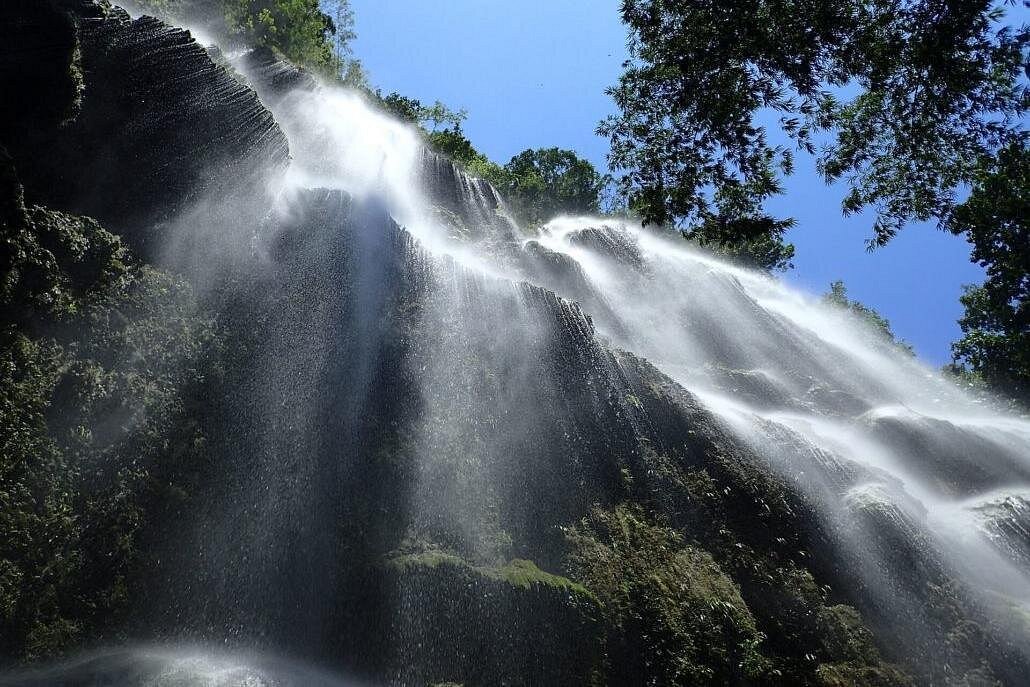 4D3N Standard Cebu City Tour, Oslob and Bohol Day Trip for 5 persons