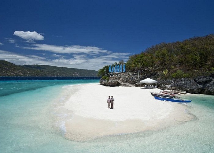 4D3N Premium Cebu City Tour, Oslob and Bohol Day Trip for 7 persons