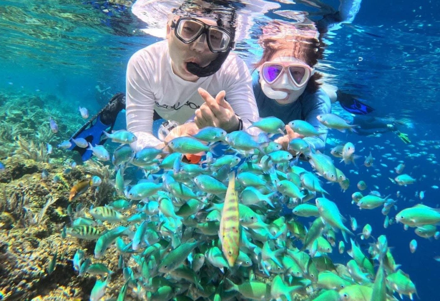 4D3N Standard Bohol Countryside and Island Hopping Tour for 2 persons