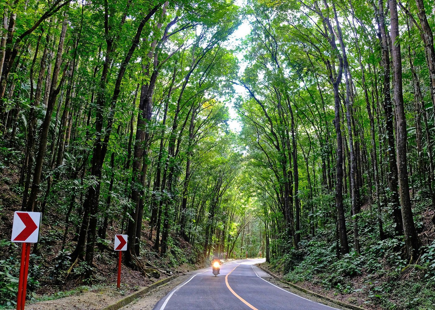 4D3N Budget Bohol Countryside, Island Hopping and Panglao Land Tour for 8 persons