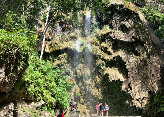 4D3N Budget Cebu City Tour, Moalboal and Oslob for 3 persons