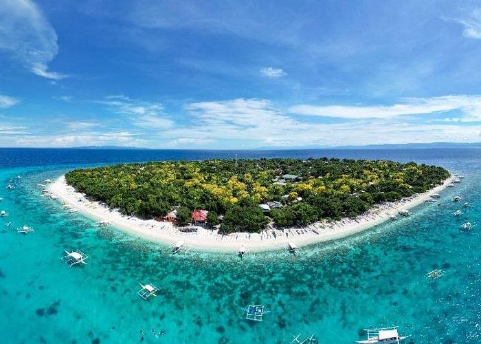 4D3N Premium Bohol Countryside and Island Hopping Tour for 8 persons