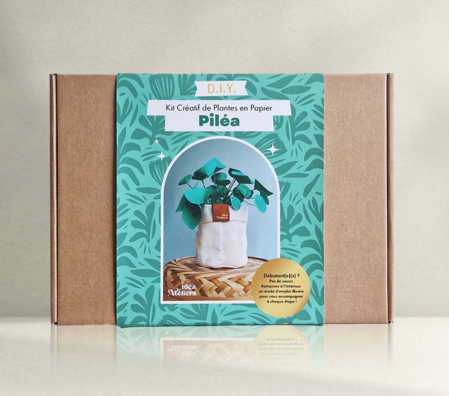 Kit Créatif de plantes en papier : Piléa