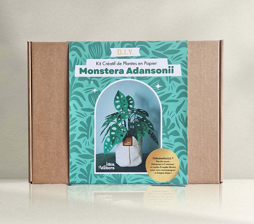 Kit créatif de plante en papier : Monstera Adansonii