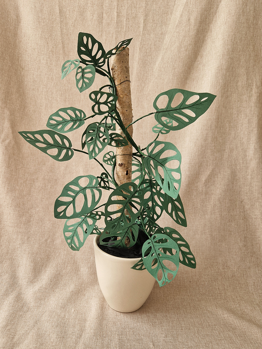 Monstera Monkey Mask