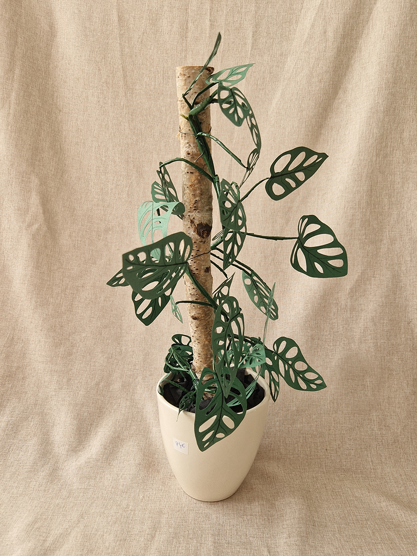 Monstera Monkey Mask