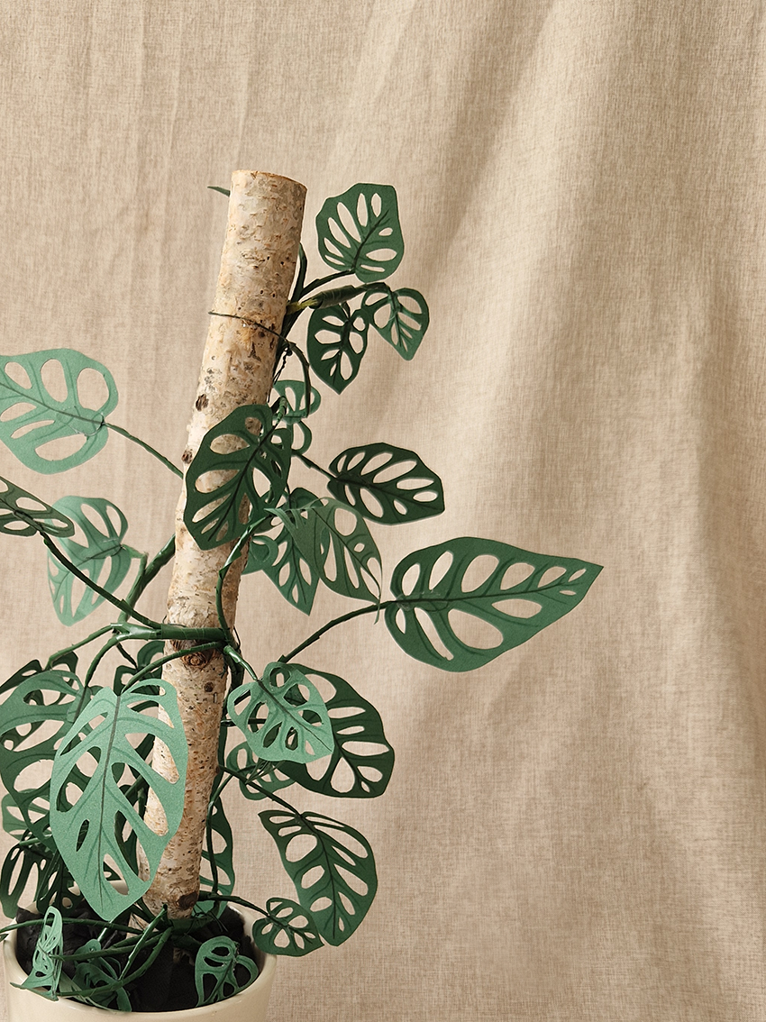 Monstera Monkey Mask