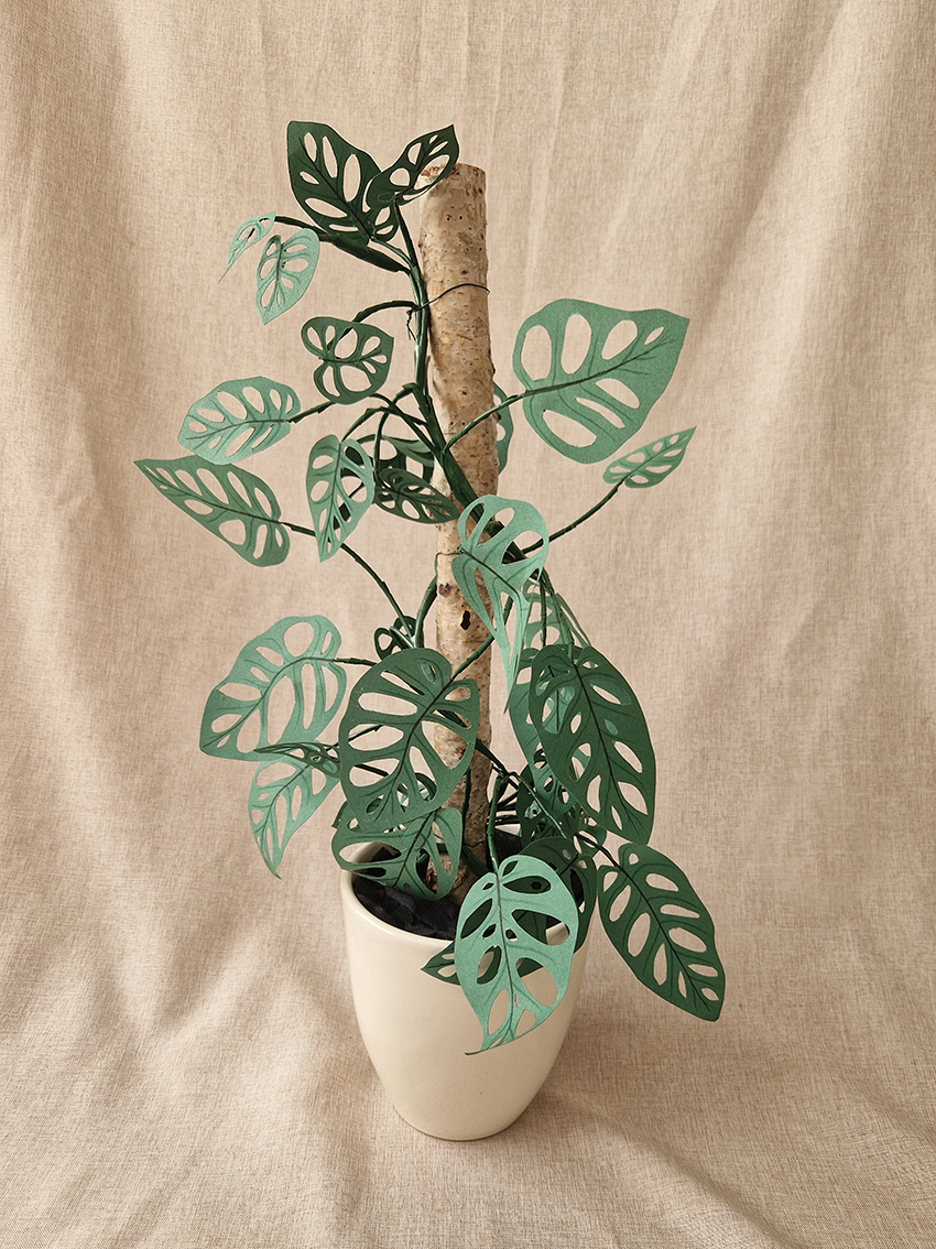 Monstera Monkey Mask