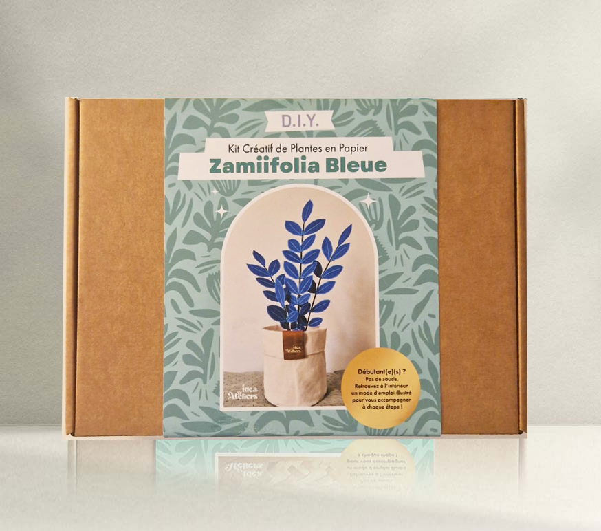 Kit créatif de plante en papier : Zamiifolia bleue