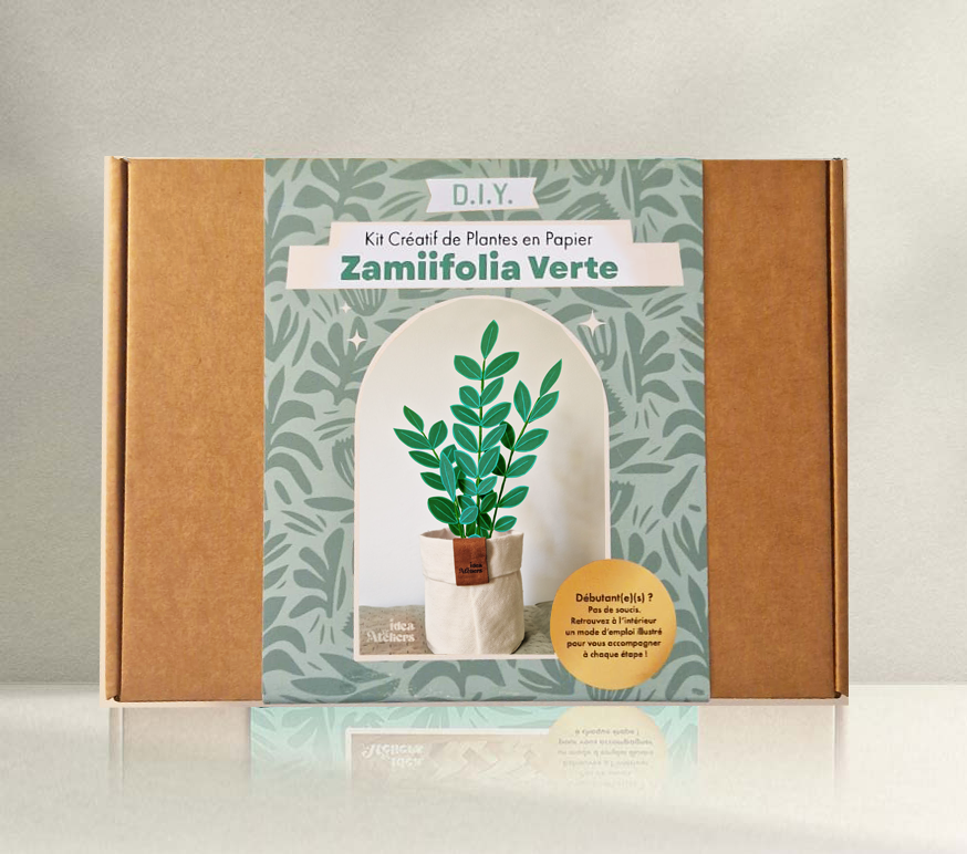 Kit créatif de plante en papier : Zamiifolia Verte