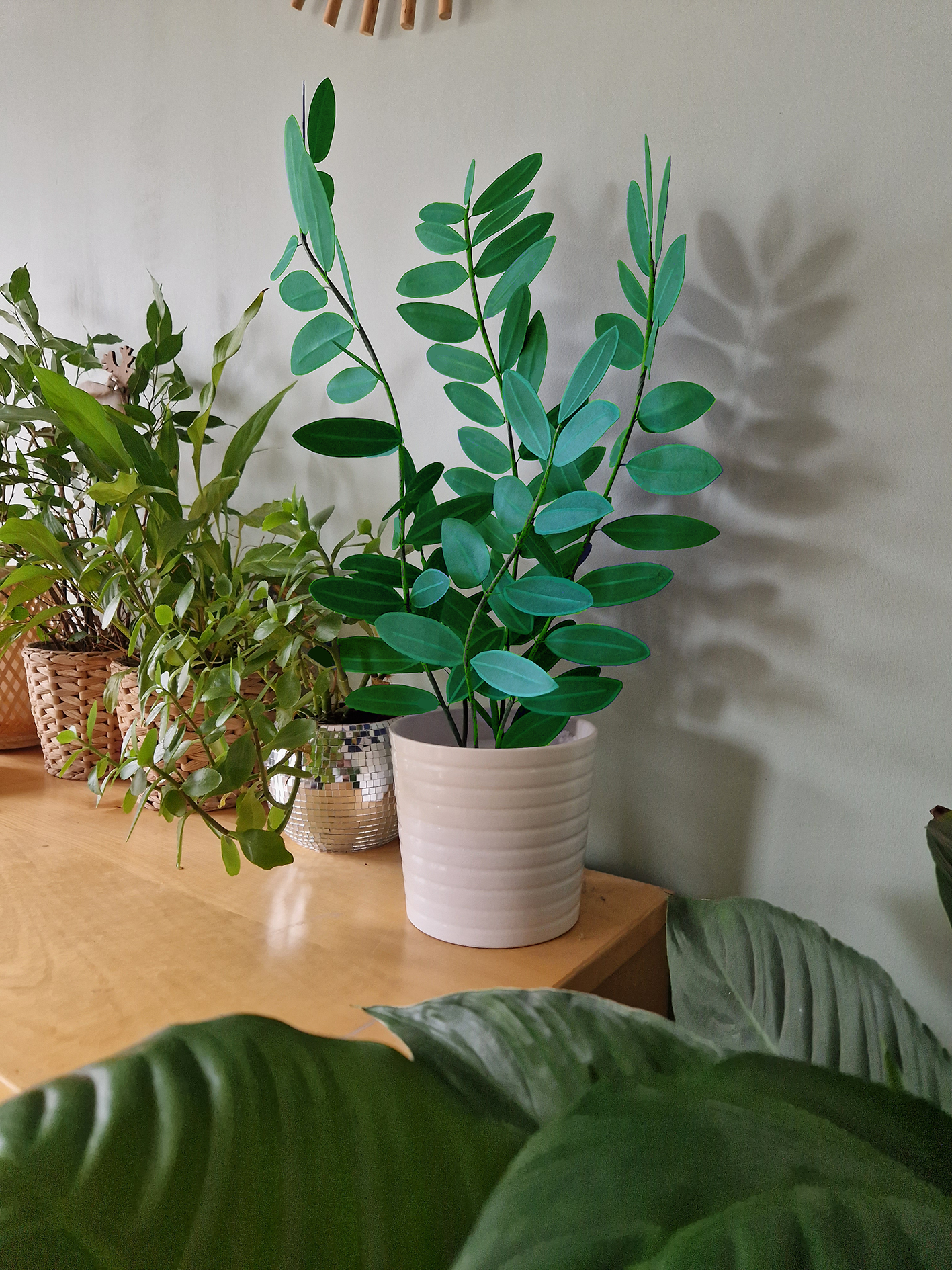 Kit créatif de plante en papier : Zamiifolia Verte