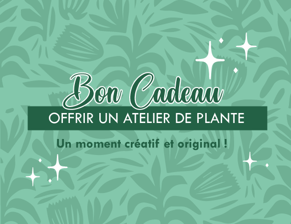 Carte CADEAU