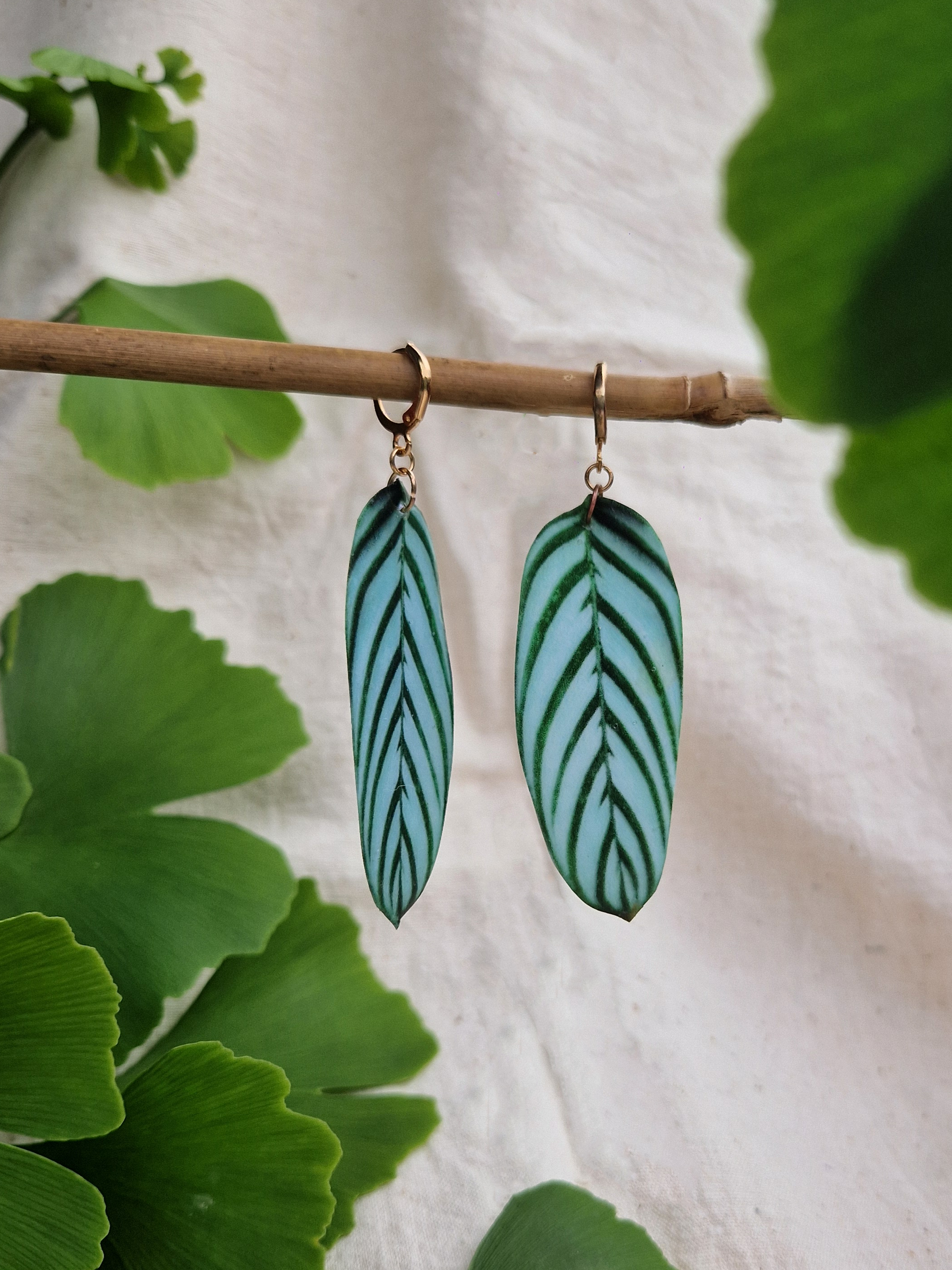 Boucles " Setosa "