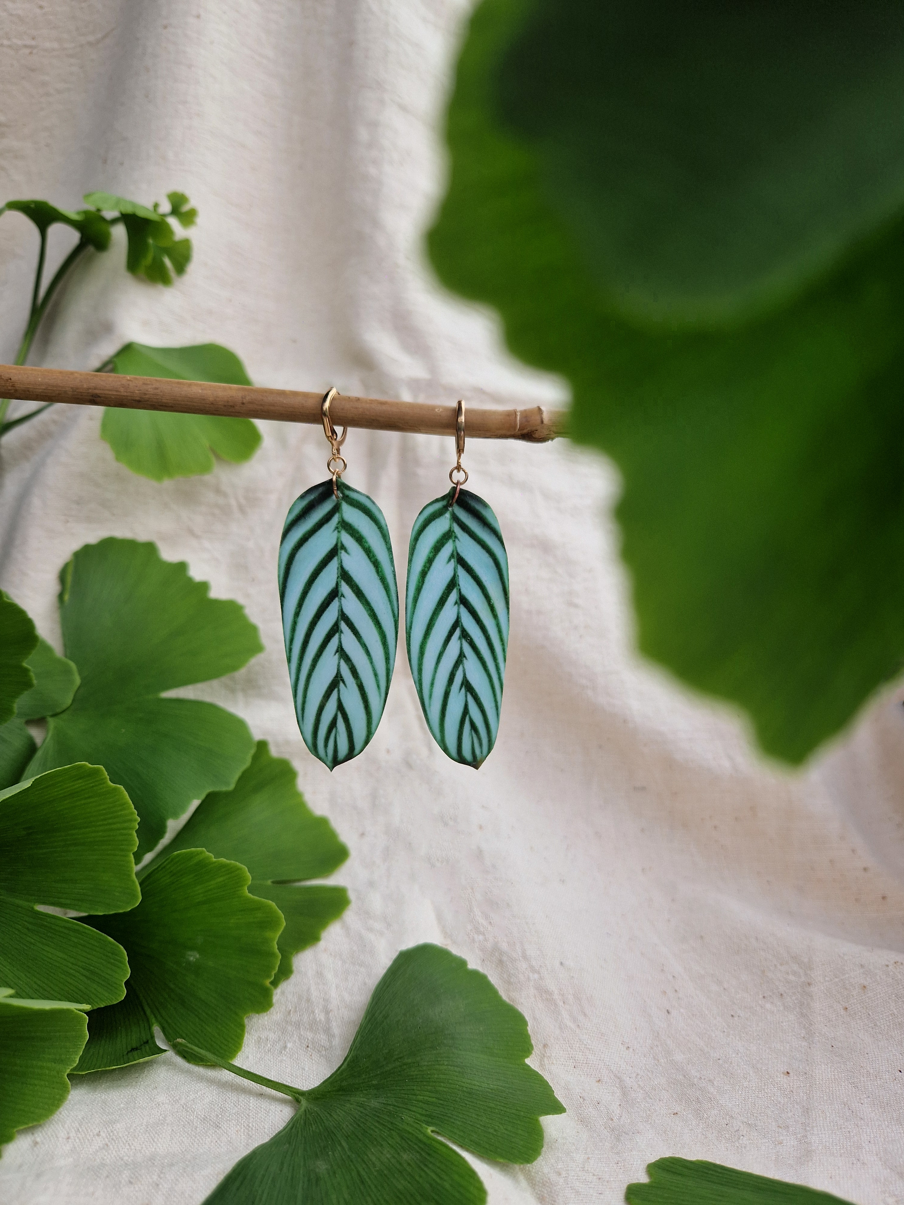 Boucles " Setosa "