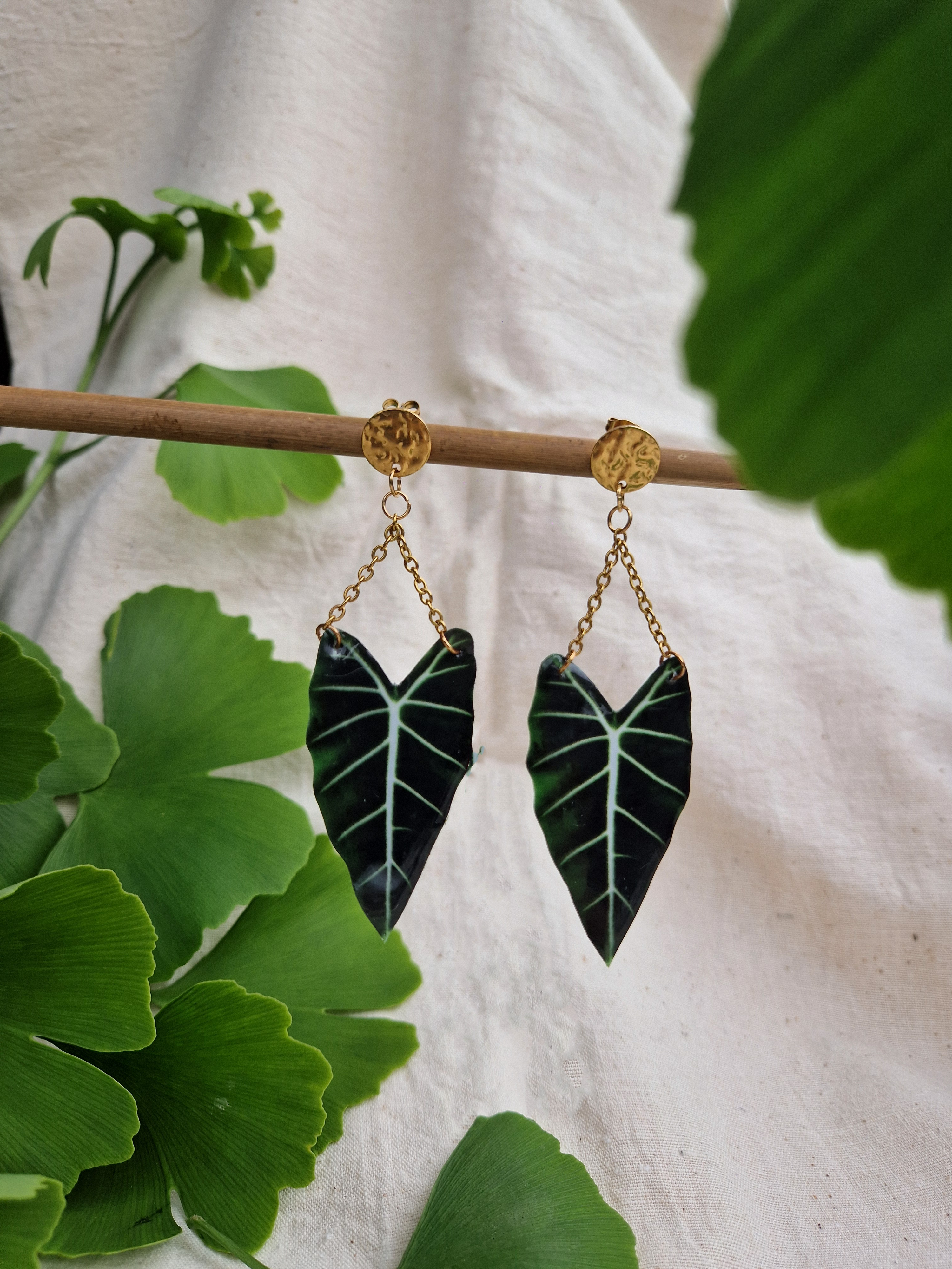 Boucles " Alocasia "