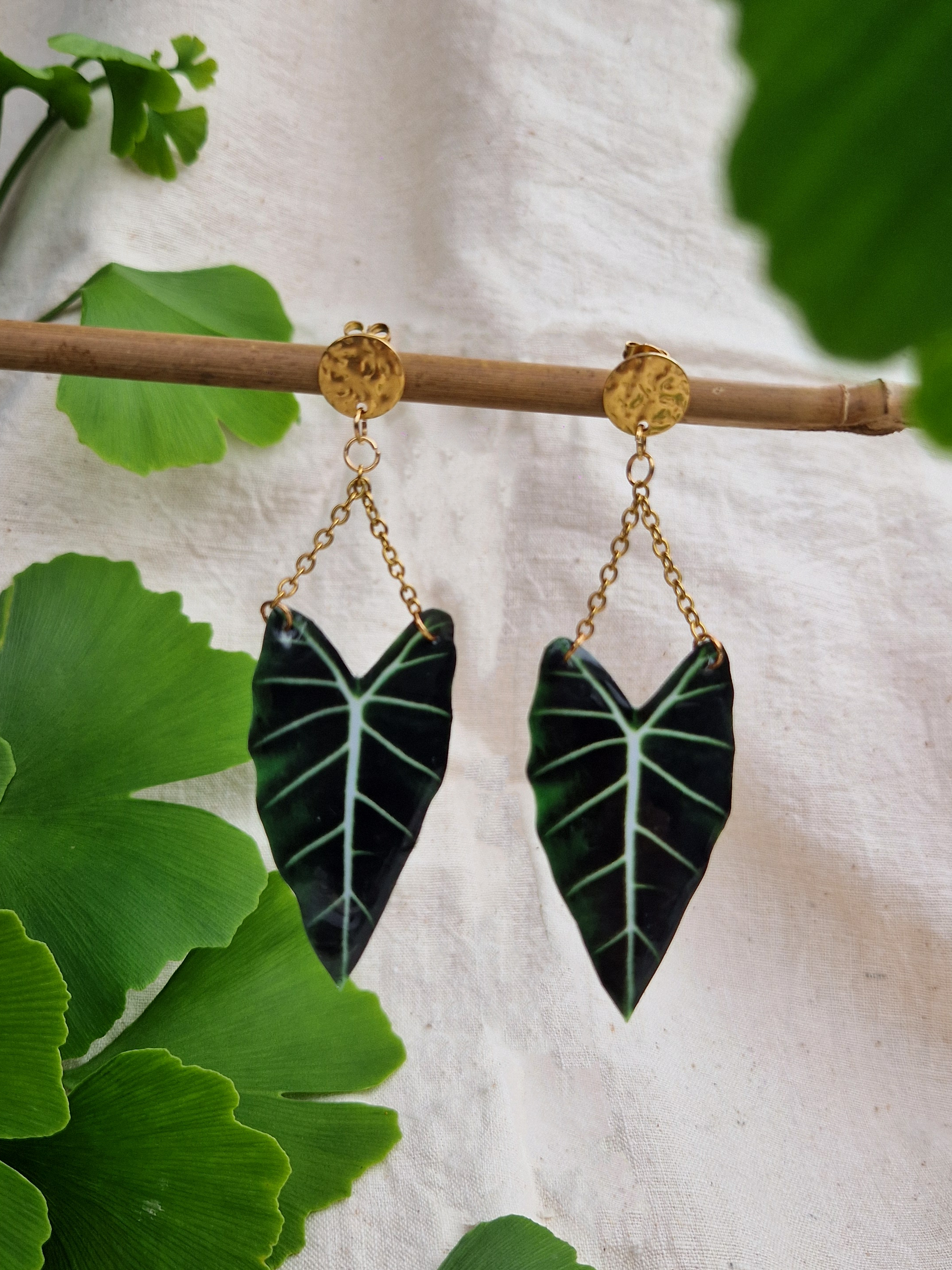 Boucles " Alocasia "