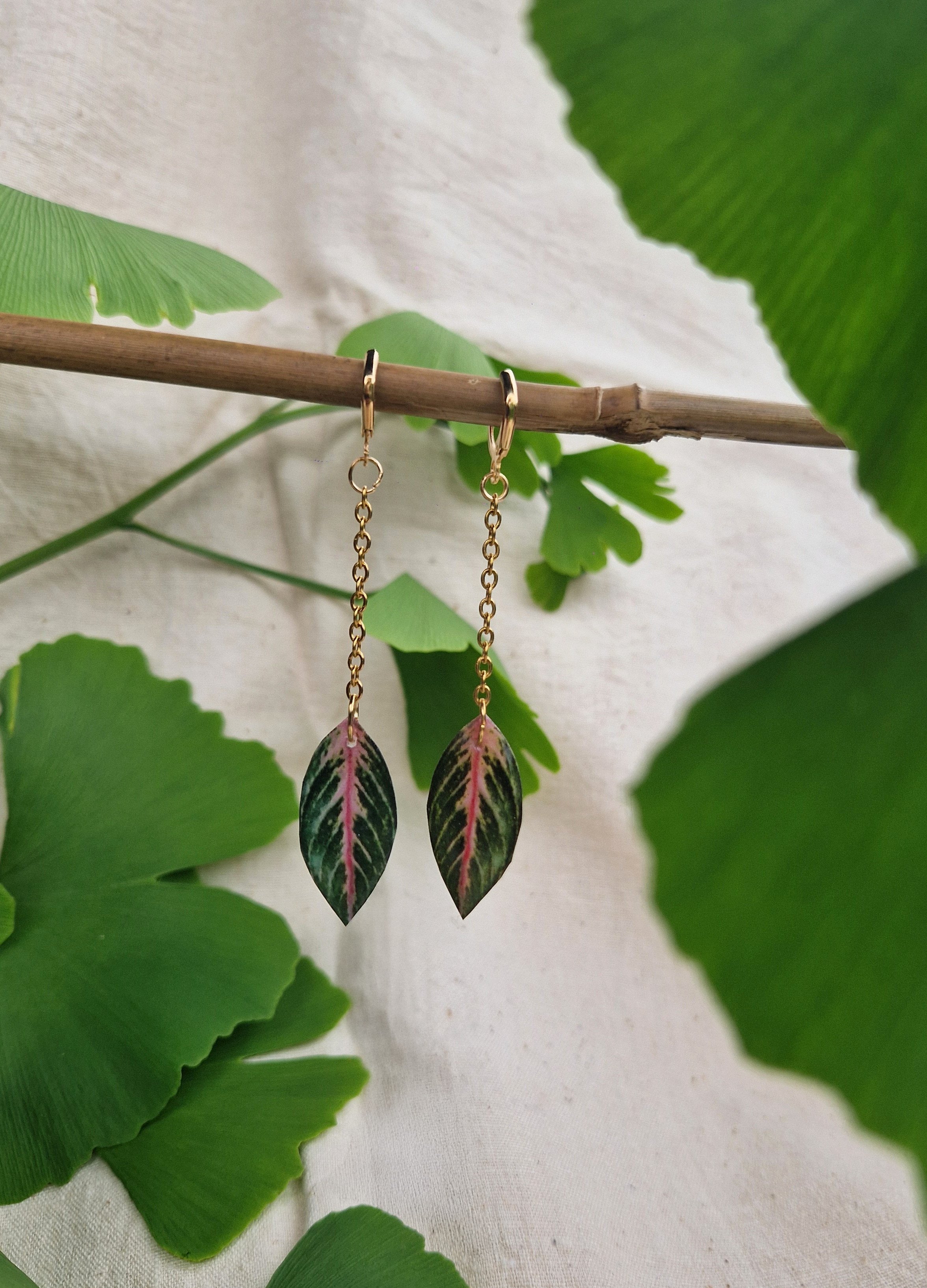 Boucles " Aglaonéma"