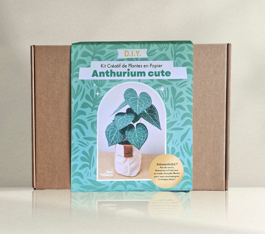 Kit créatif de plante en papier : Anthurium Cute