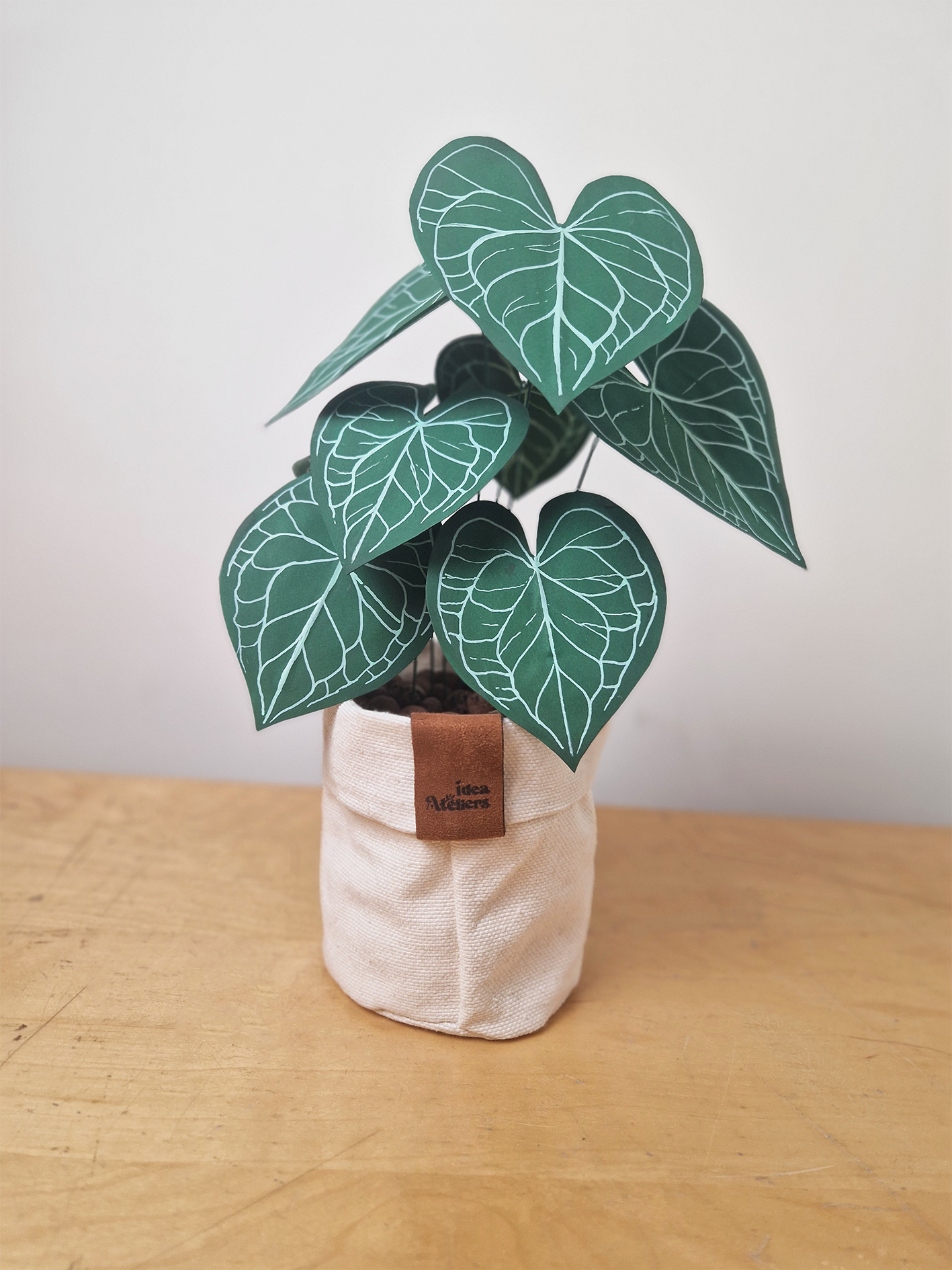 Kit créatif de plante en papier : Anthurium Cute