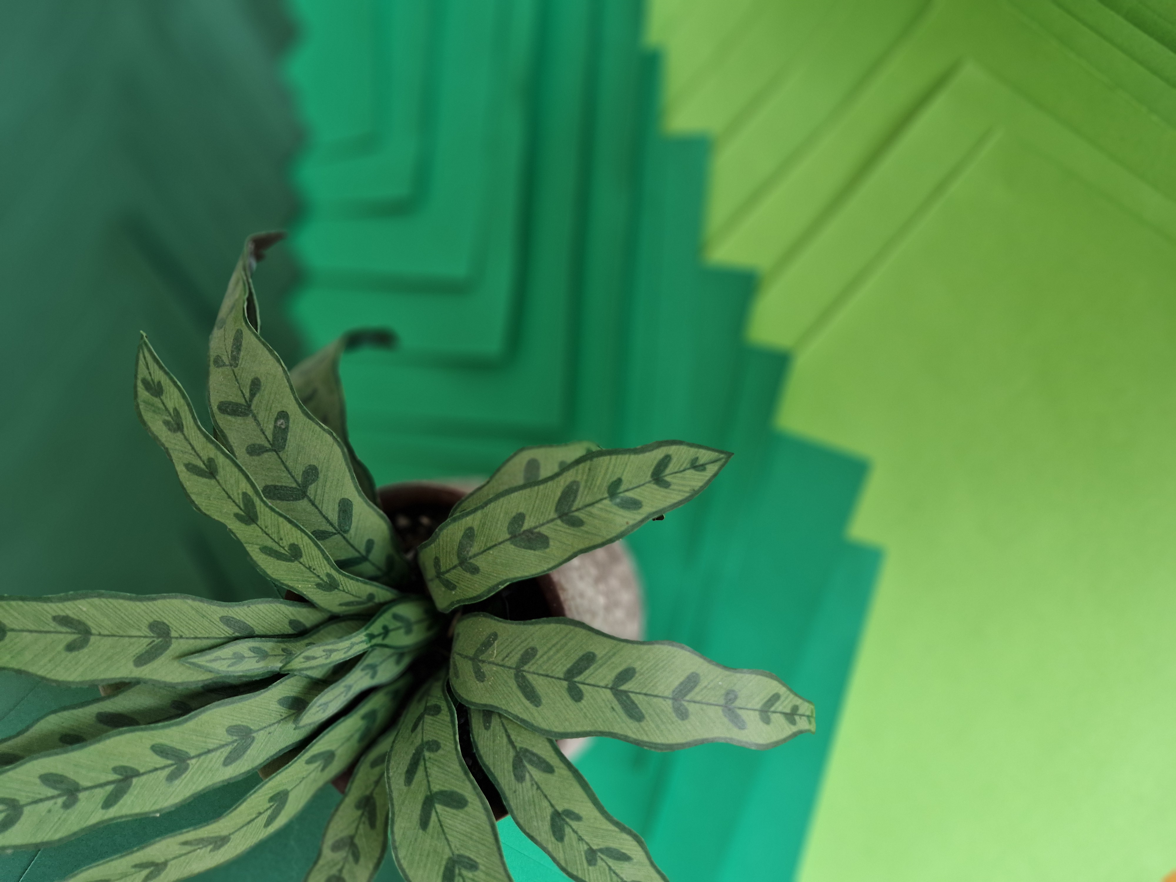 CHILL & PLANT - Dimanche 19 Avril à 14h 