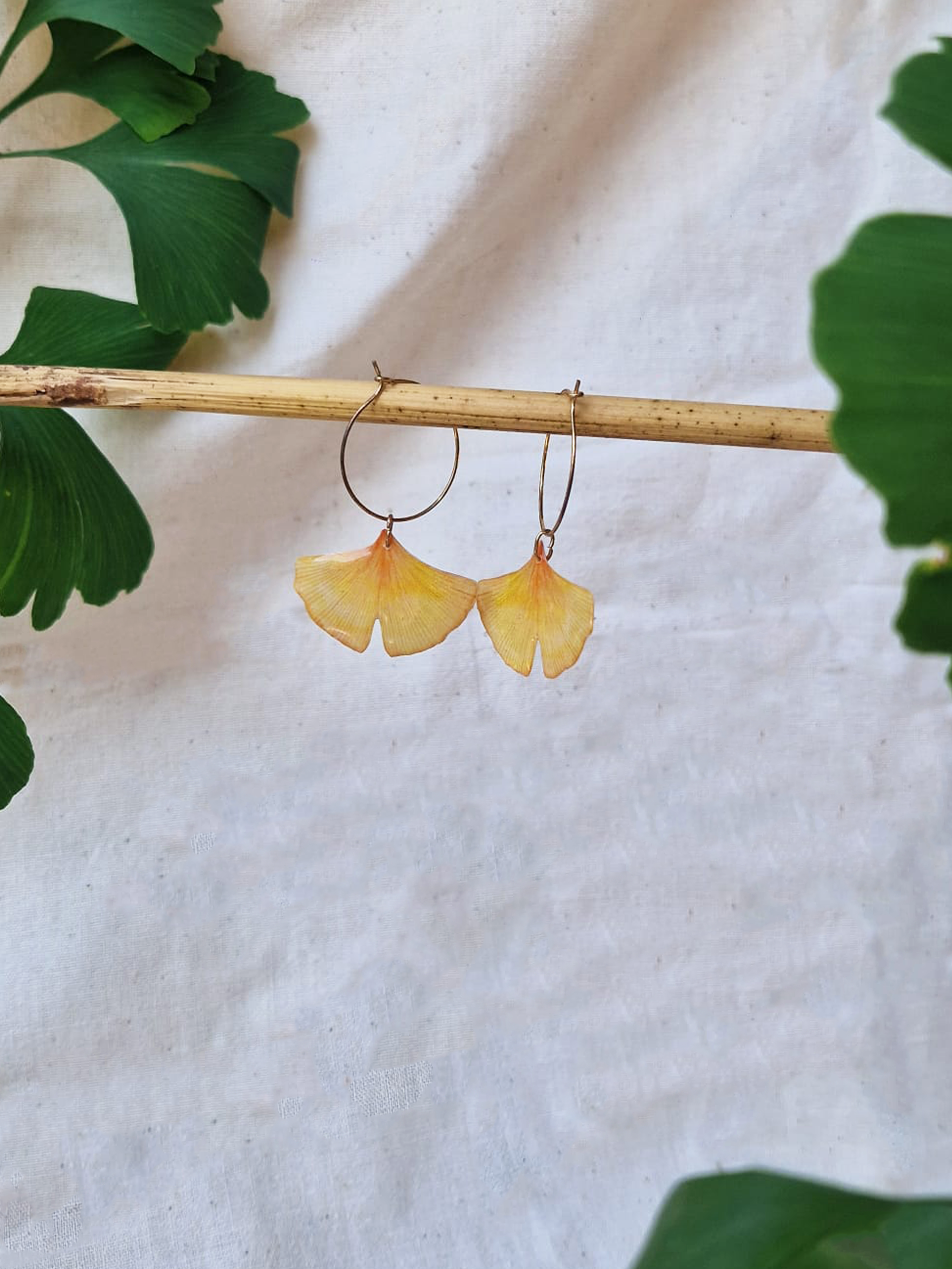Créoles " Ginkgo biloba "