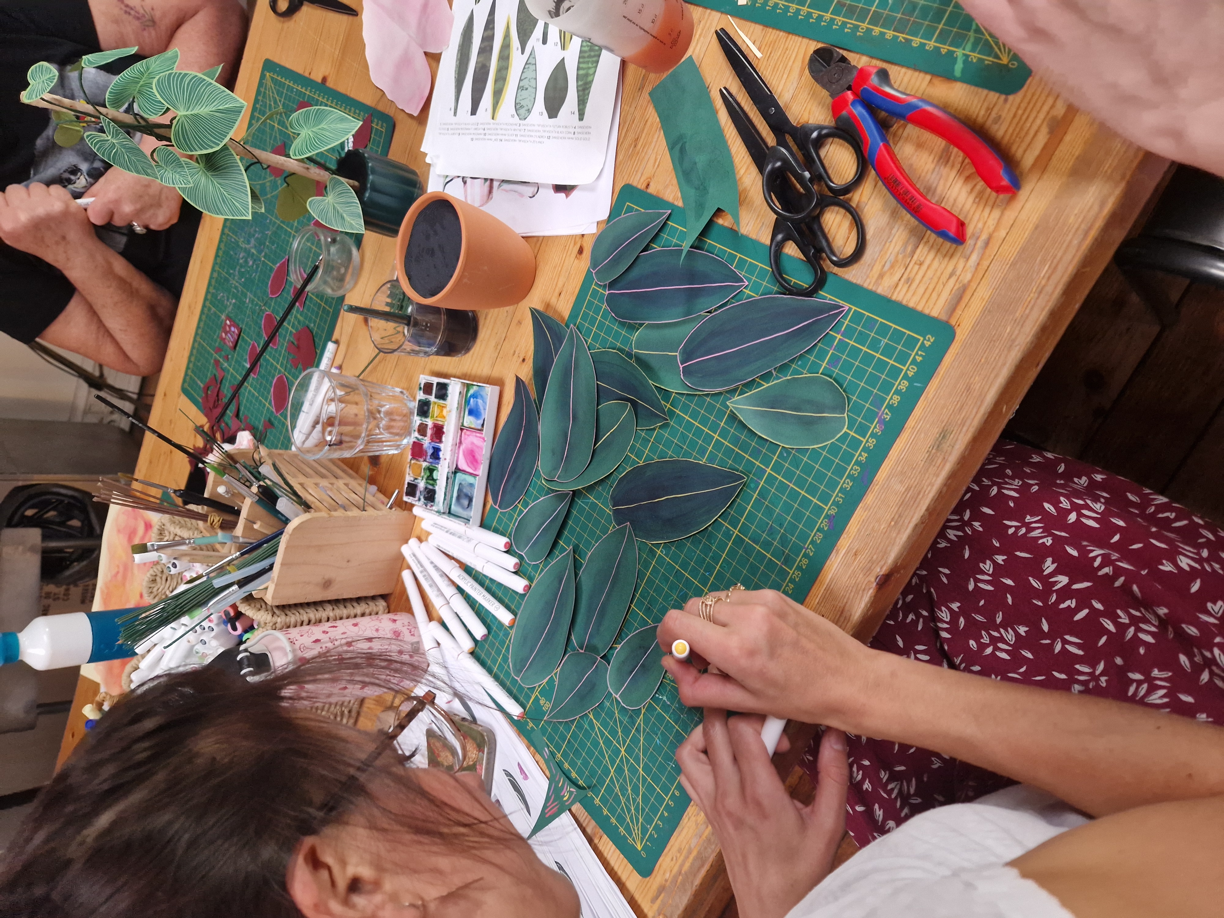 CHILL & PLANT - Dimanche 29 Mars à 14h