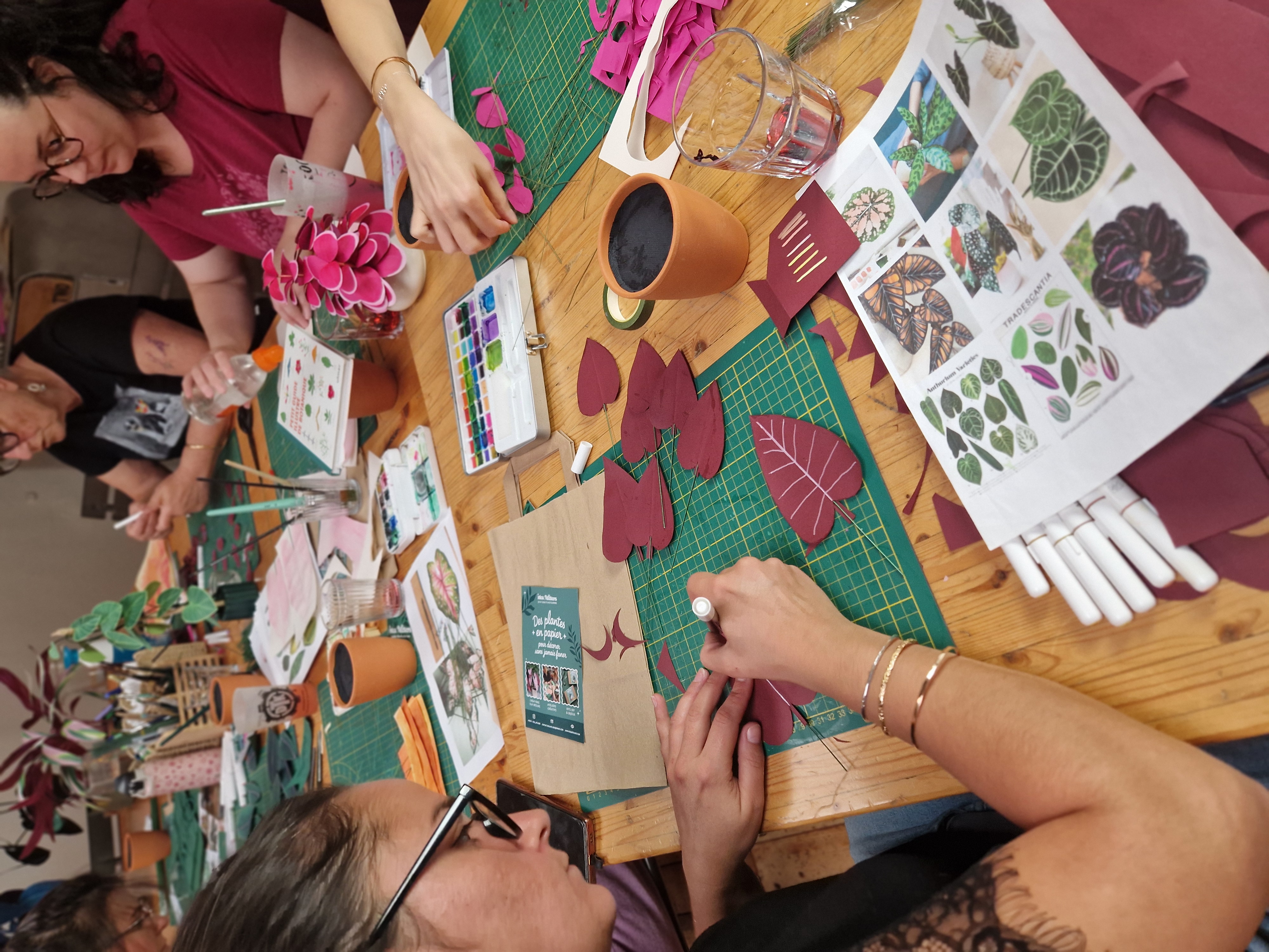 CHILL & PLANT - Dimanche 29 Mars à 14h 