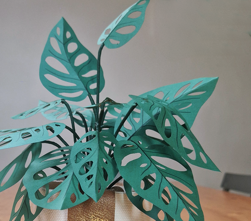 Kit créatif de plante en papier : Monstera Adansonii