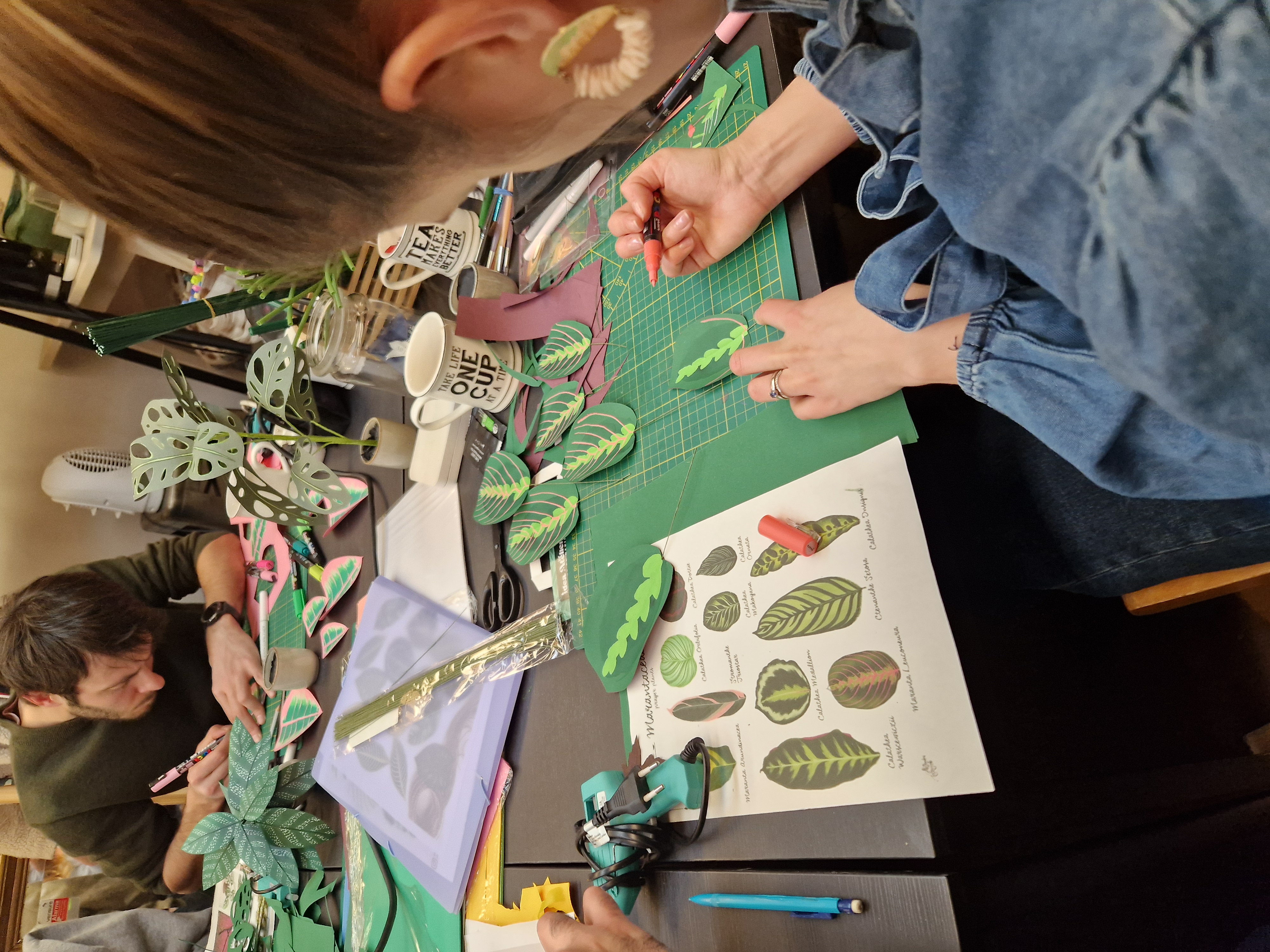 CHILL & PLANT - Dimanche 3 Mai à 14h 