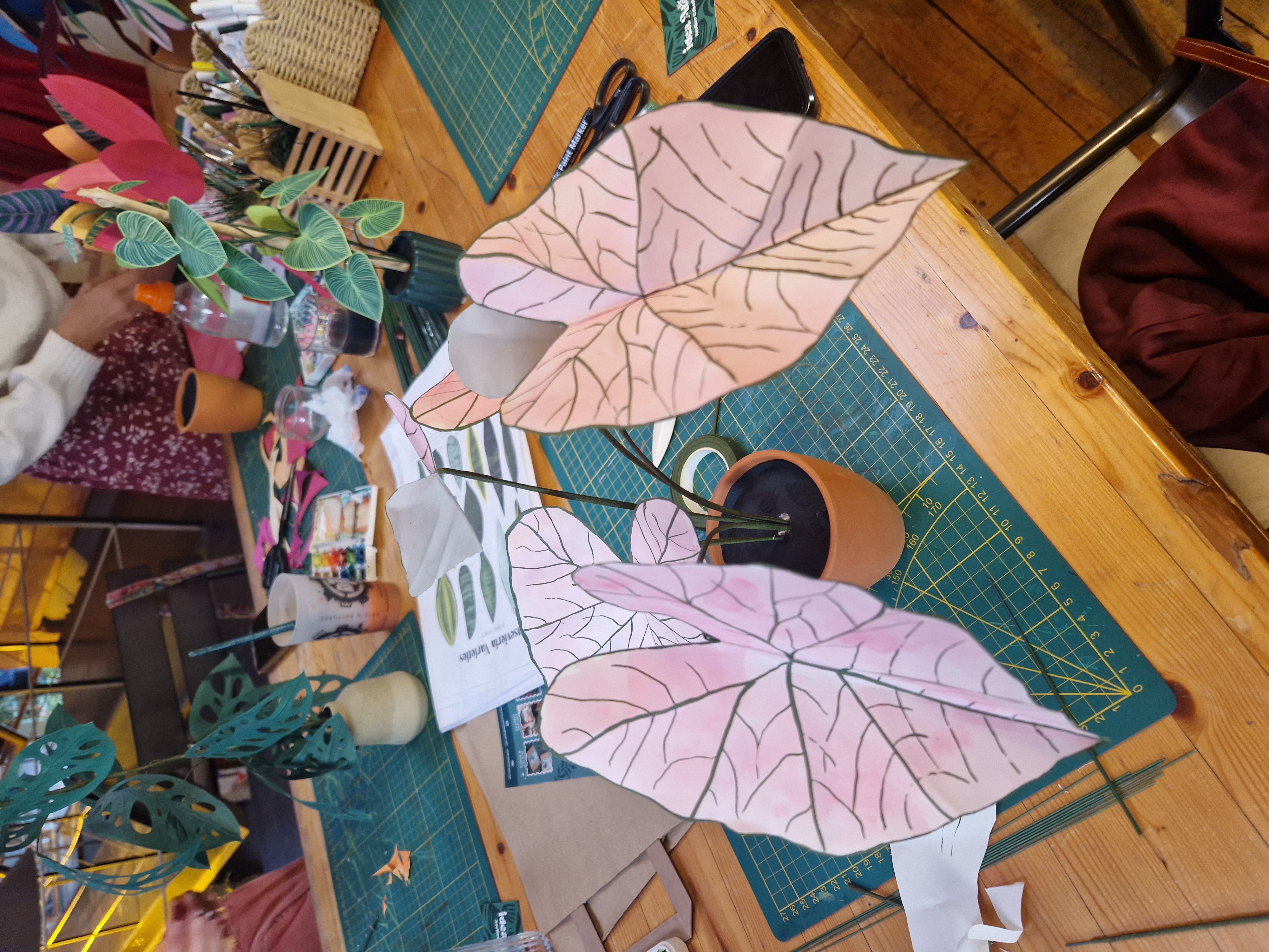 CHILL & PLANT - Dimanche 29 Mars à 14h 