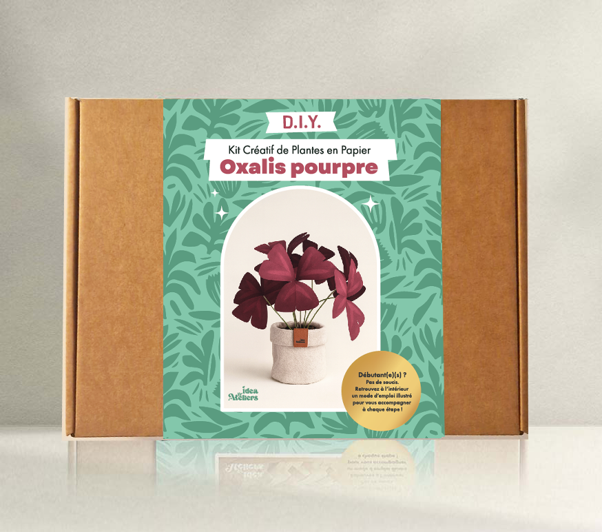 Kit créatif de plante en papier : Oxalis