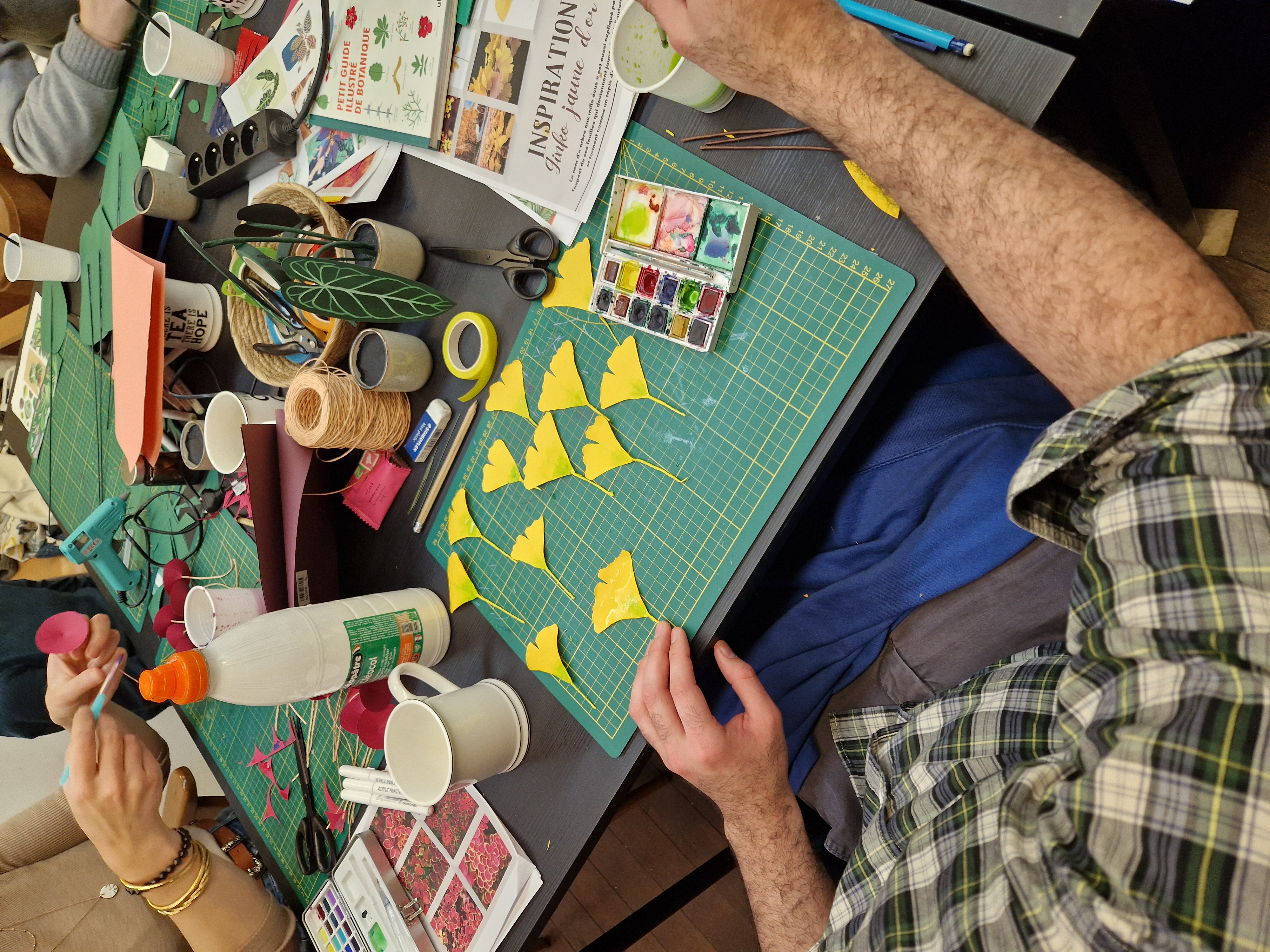 CHILL & PLANT - Dimanche 10 Mai à 14h 