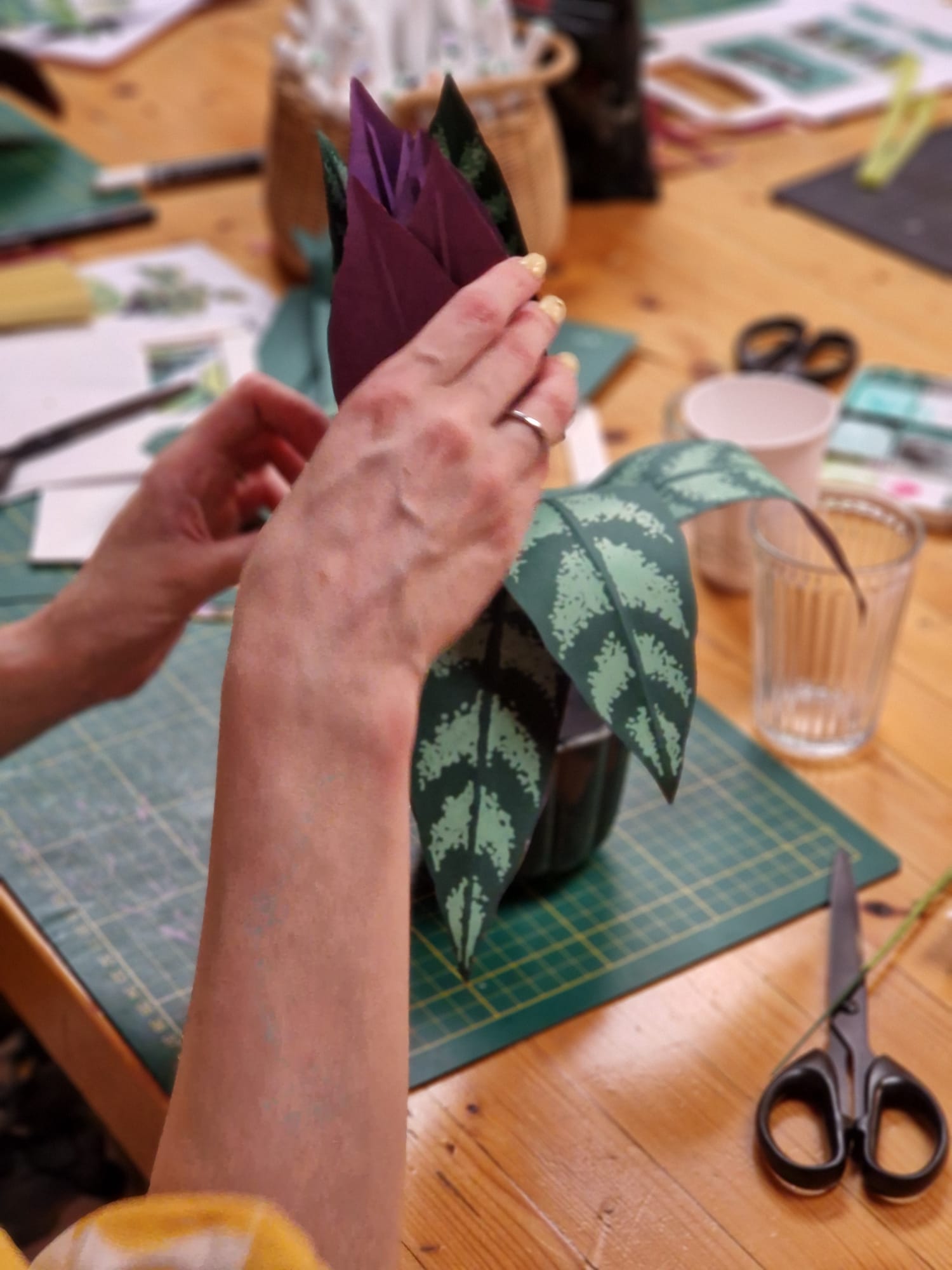 CHILL & PLANT - Dimanche 25 Janvier à 14h