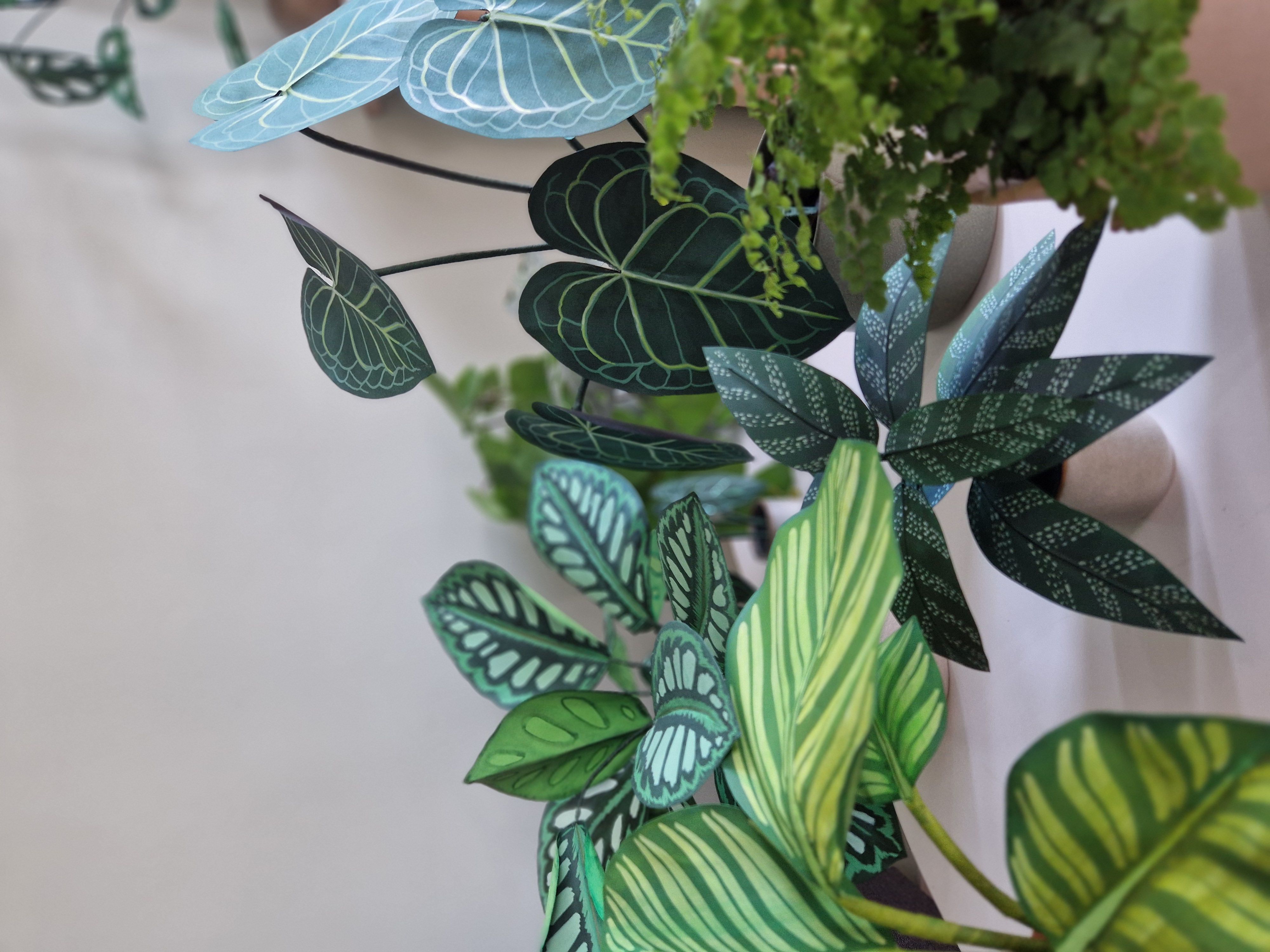 CHILL & PLANT - Dimanche 19 Avril à 14h 