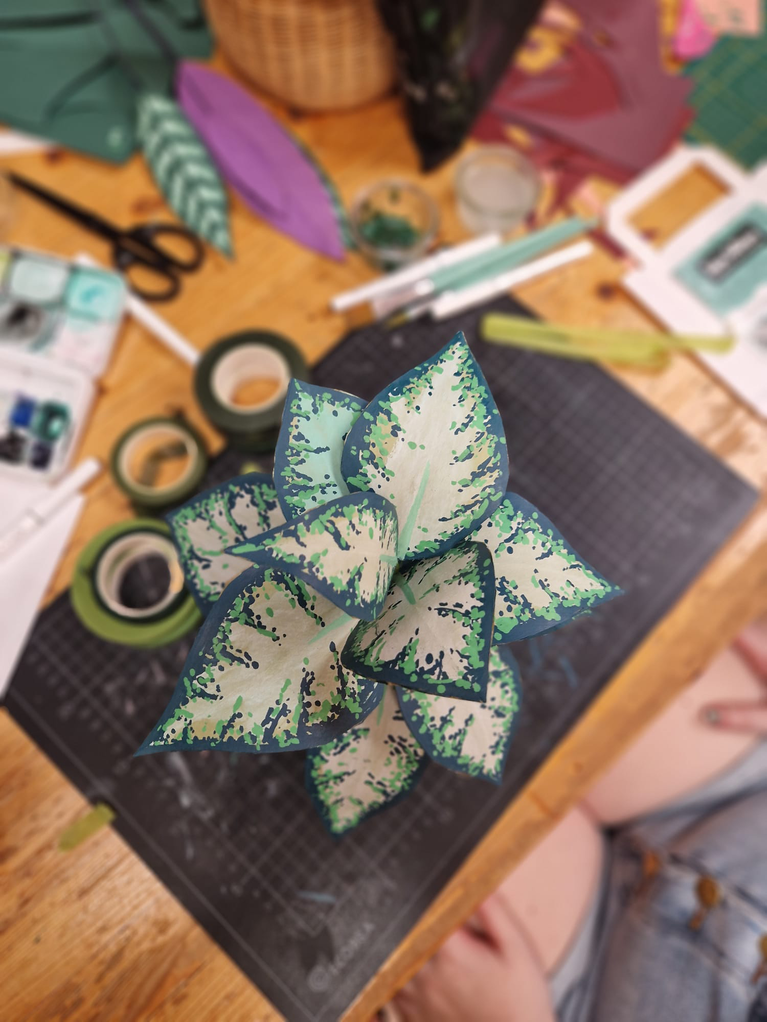 CHILL & PLANT - Dimanche 15 Mars à 14h 