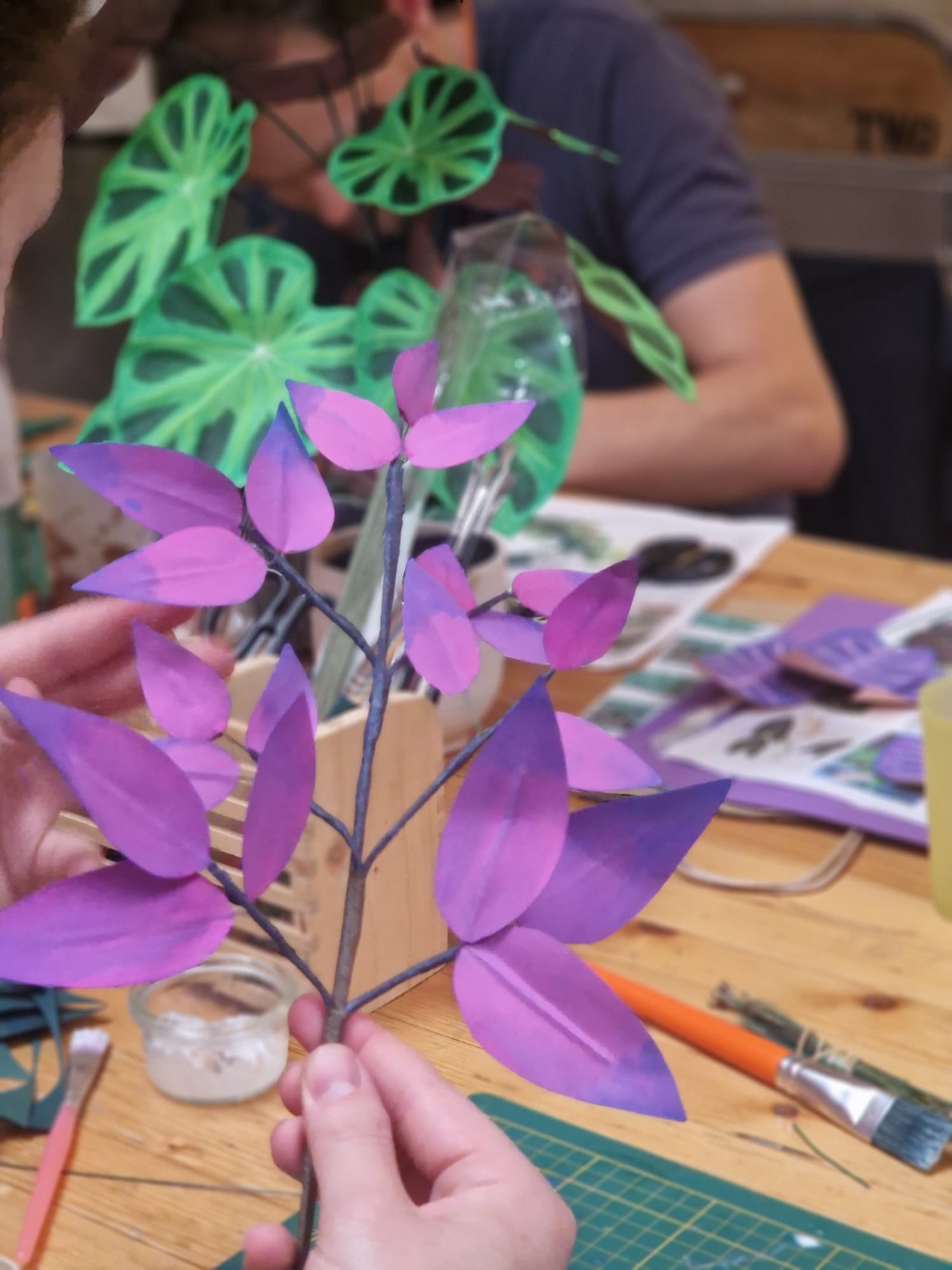 CHILL & PLANT - Dimanche 15 Mars à 14h 