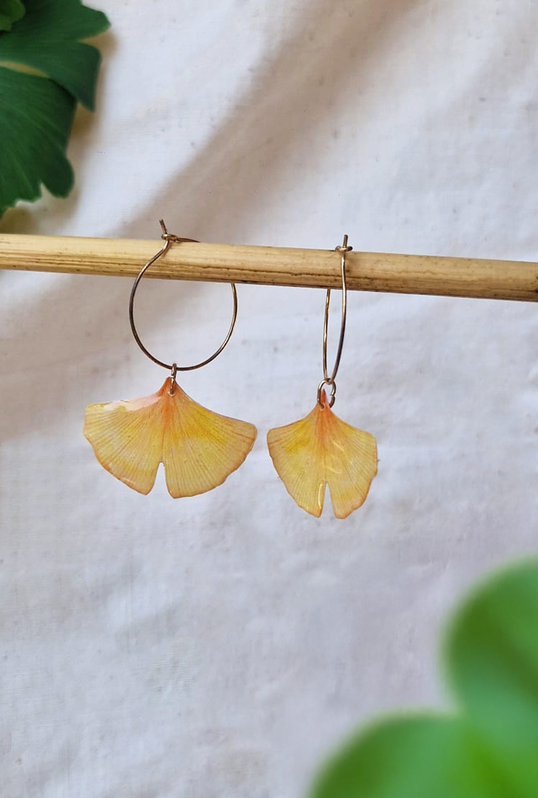 Créoles " Ginkgo biloba "