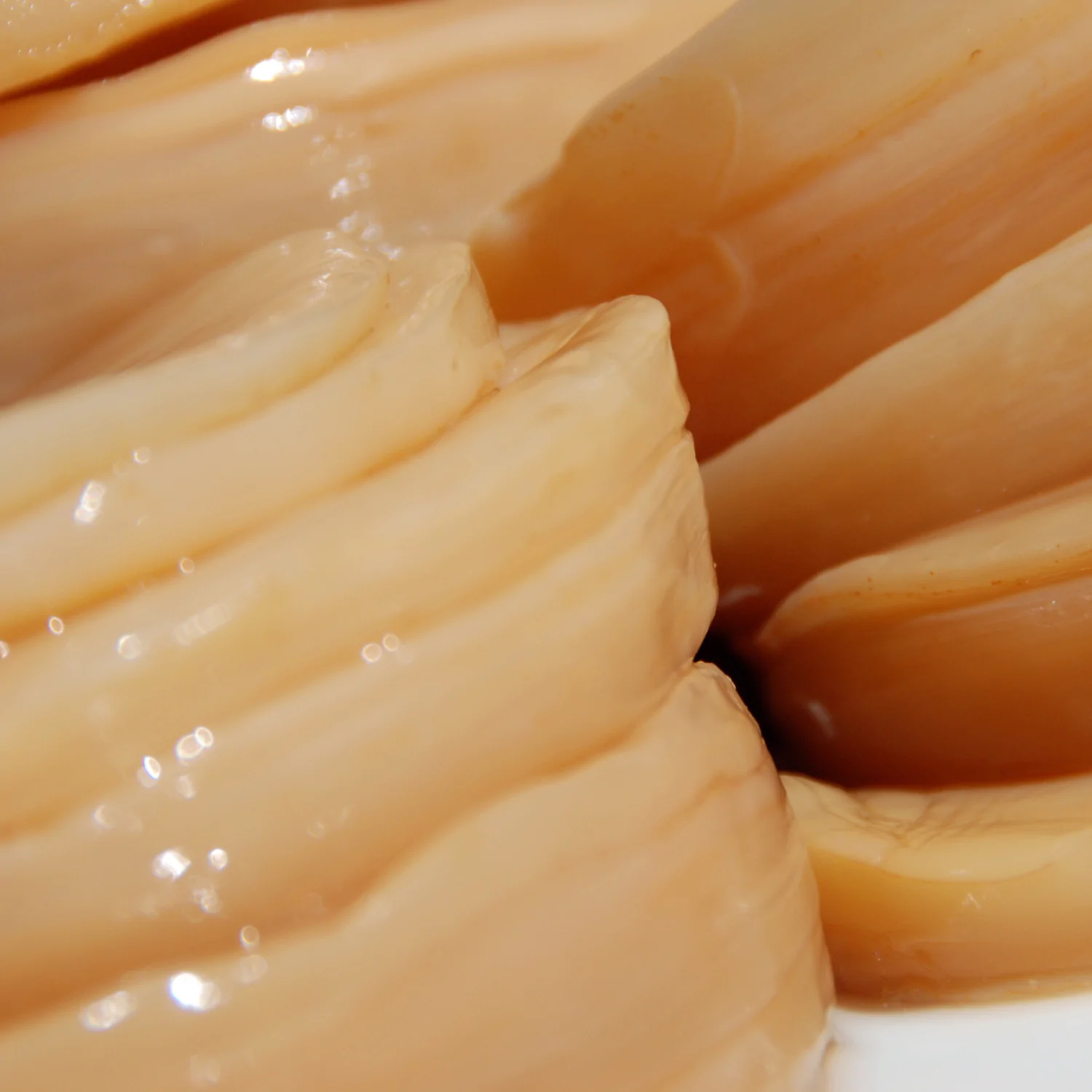 Fermentation Bundle - Wasserkefir + Milchkefir + Kombucha SCOBY - Komplettes Starter-Set