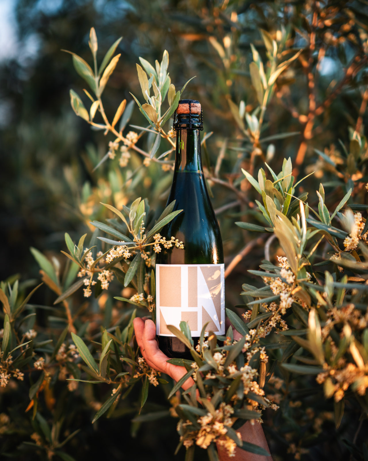 SARRAT DE GOUNDY  Sans titre n°19 75CL 