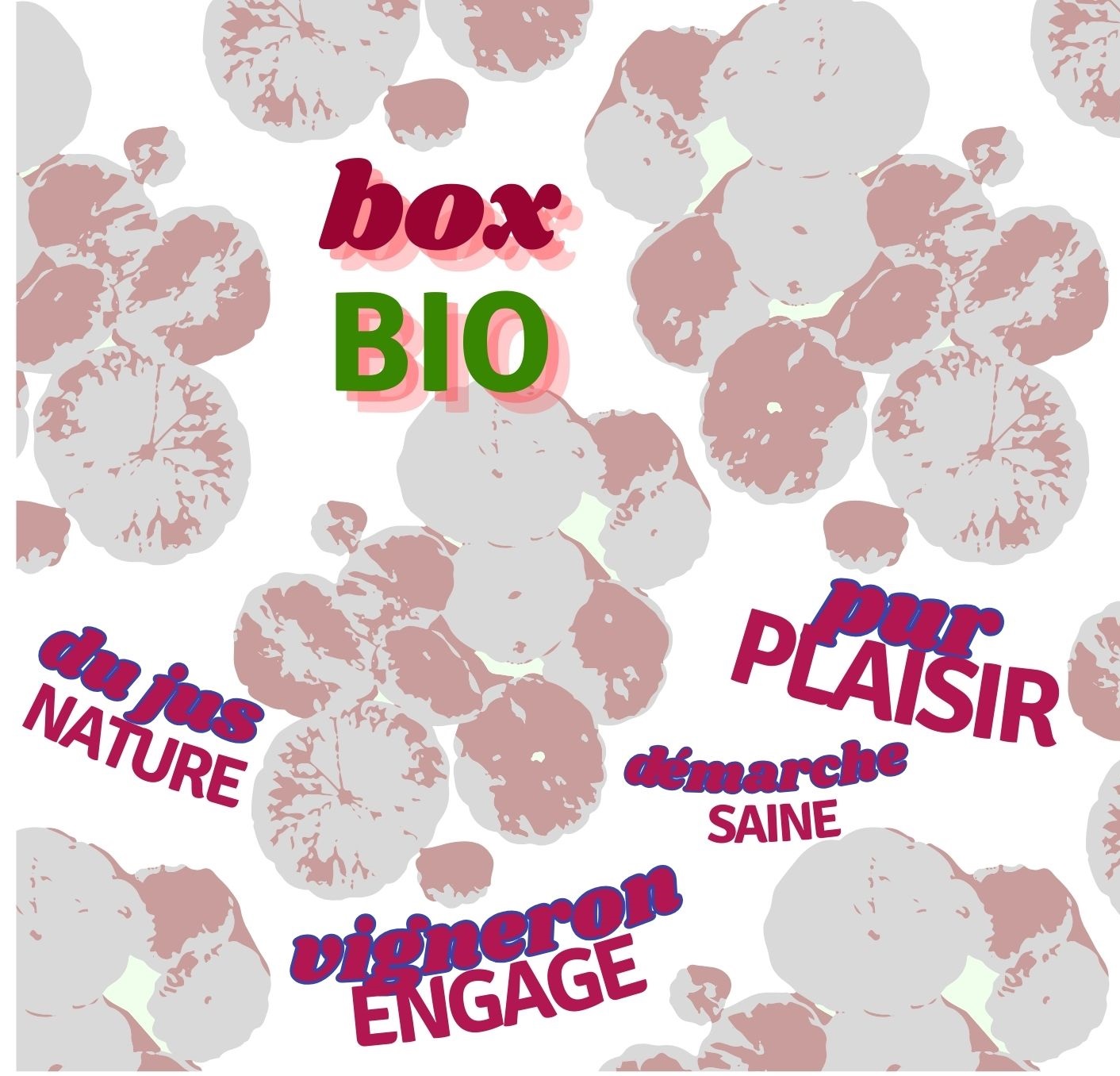 Wine Box BIO