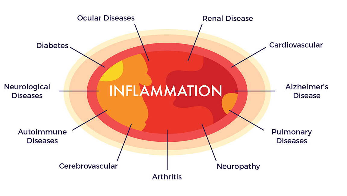 Susceptible inflammation reliever