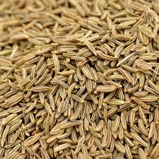 Caraway