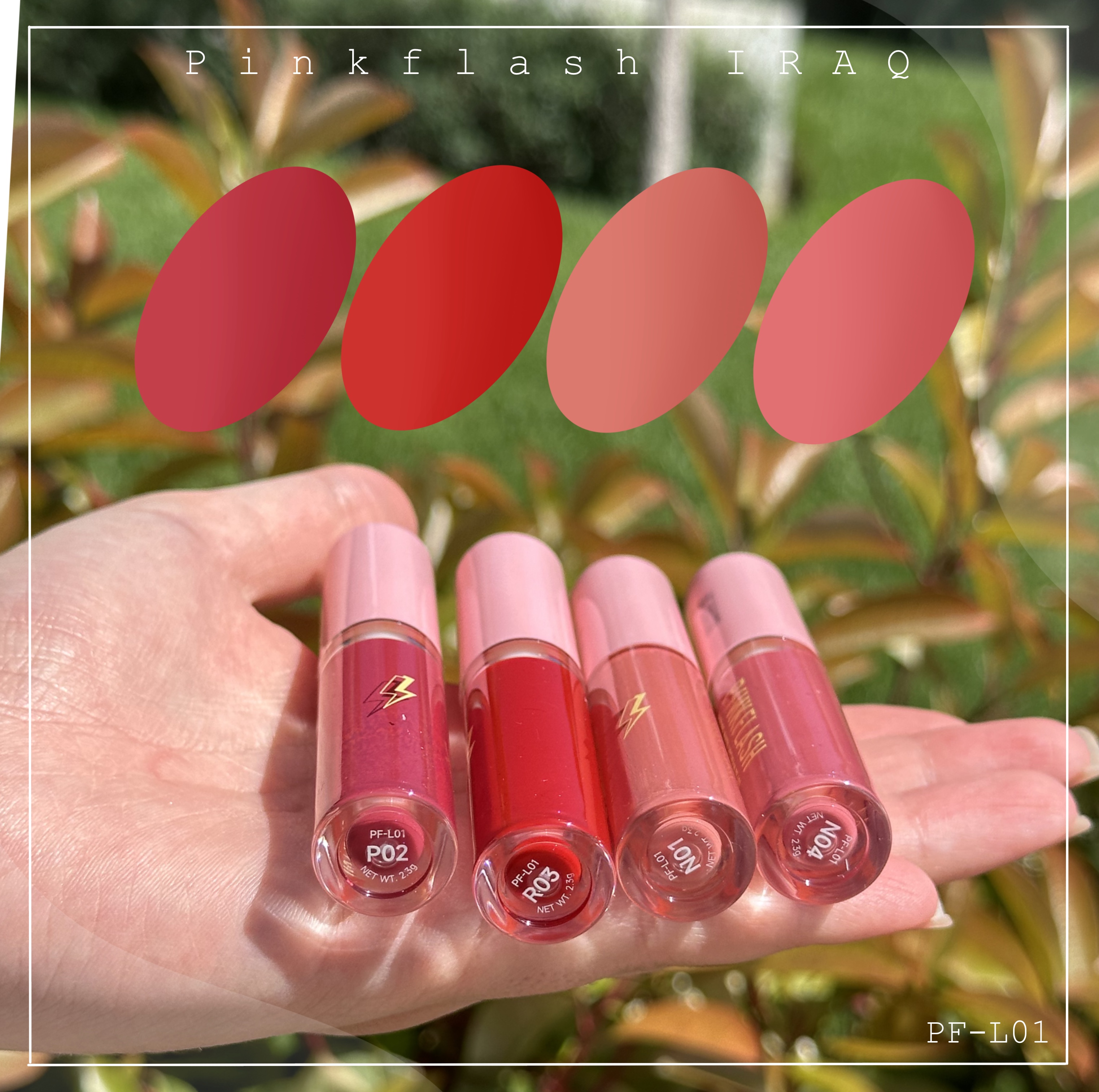 set A & B   pinkflash  l01