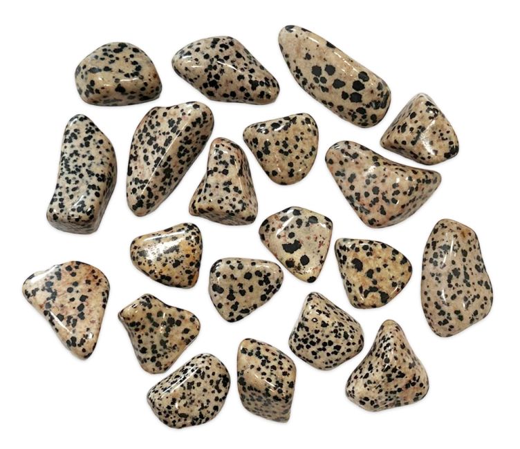 Pierre roulée Jaspe dalmatien