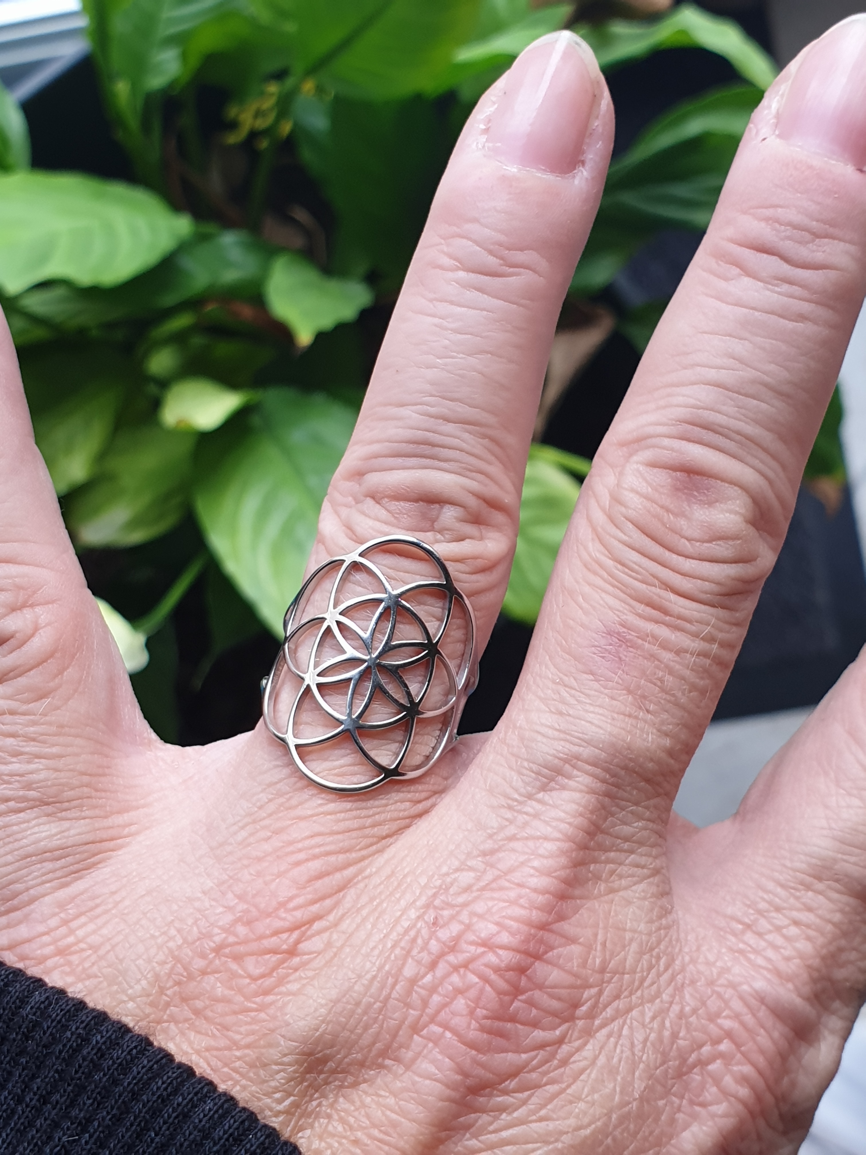 Bague graine de vie